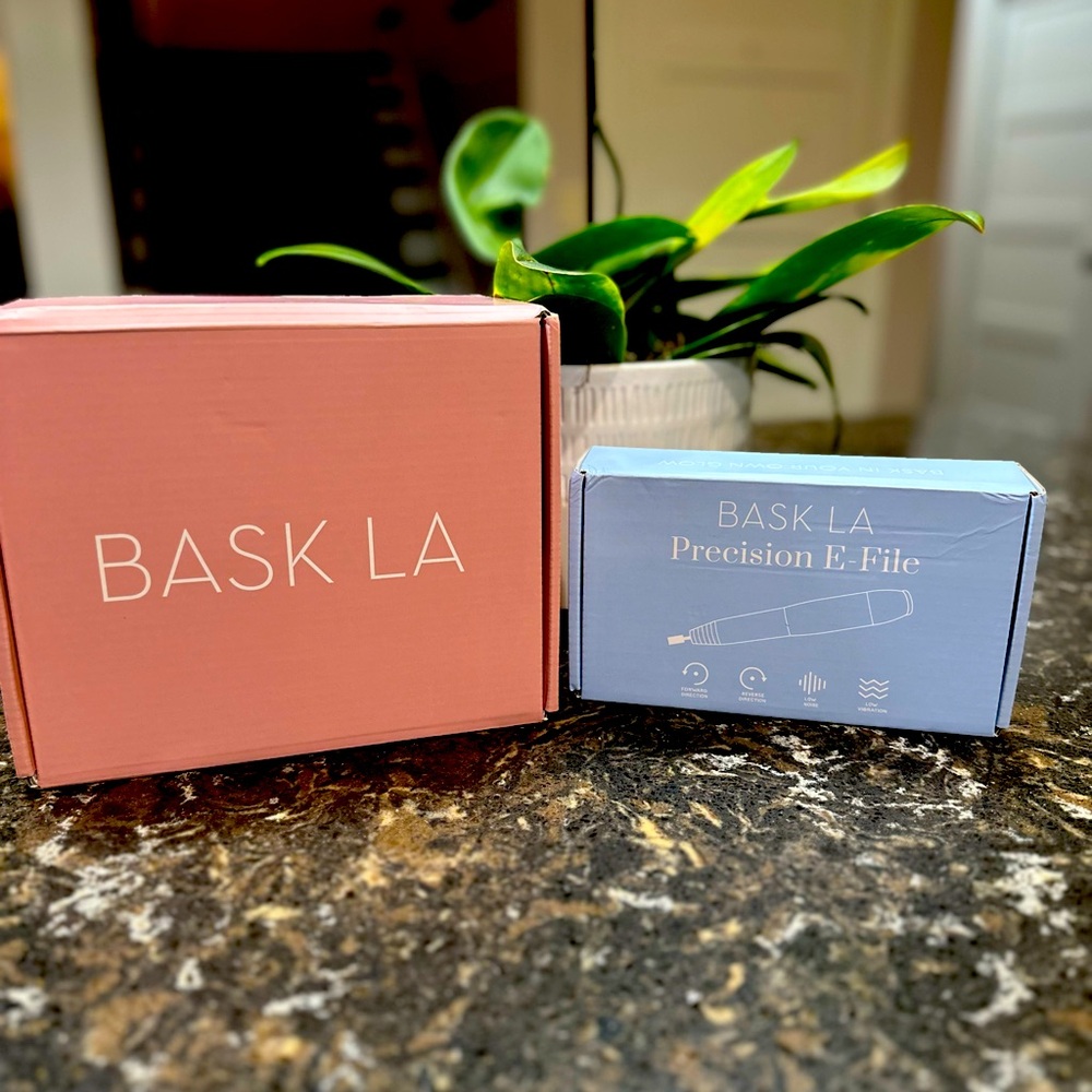 BASK LA STEAM PRO AND PRECISION E-FILE